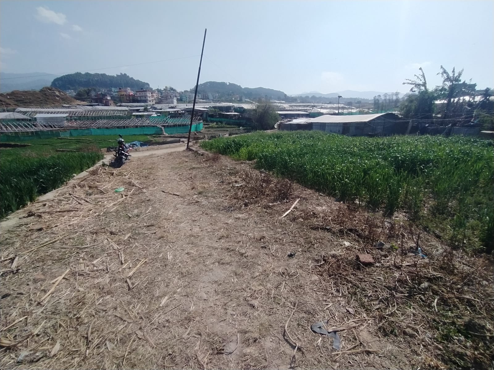 Picture of Lalitpur Metropolitan City, Bagmati